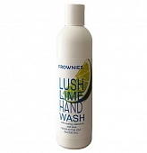 картинка Средство для мытья рук Lush Lime от магазина